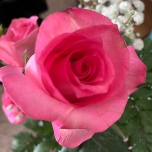 Meet your Posher, Tesserae